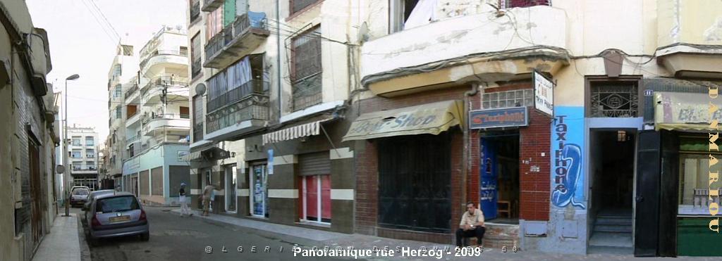 ORAN 2009 pano rue Herzog.jpg